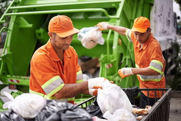 Best Shed Removal in USA